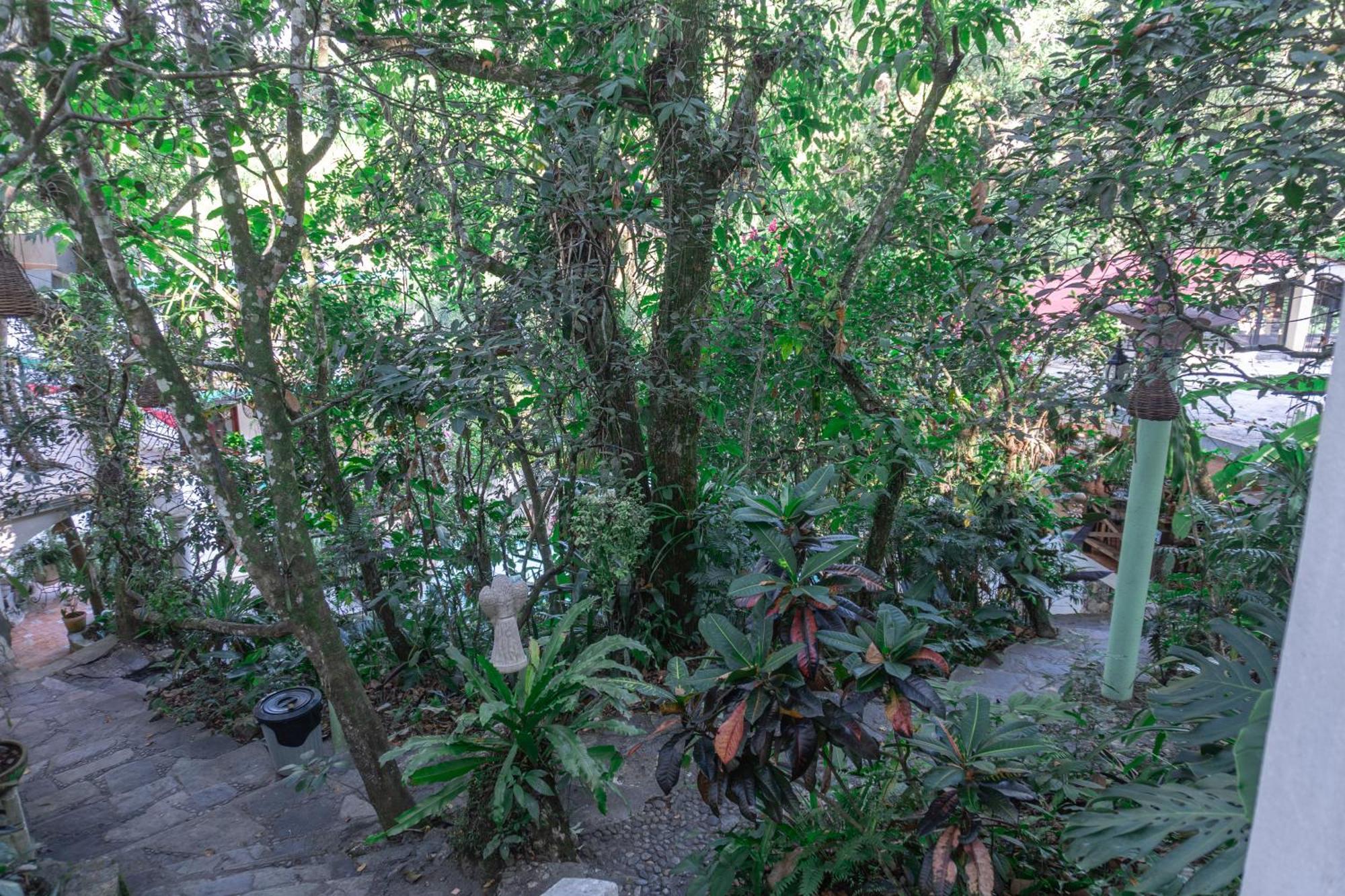 Paraiso Encantado Xilitla